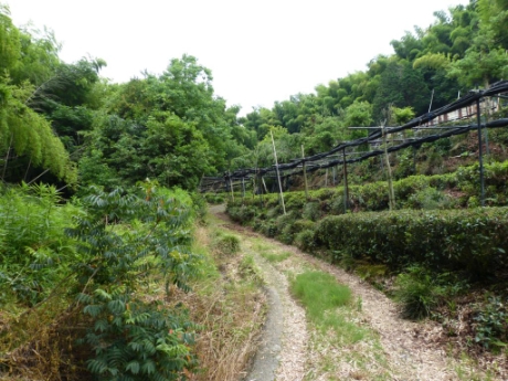 画像23